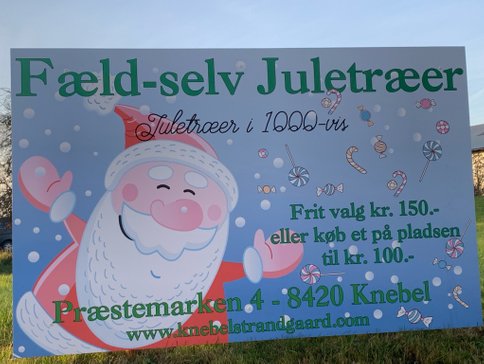 www.knebelstrandgaard.com Juletræer og pyntegrønt